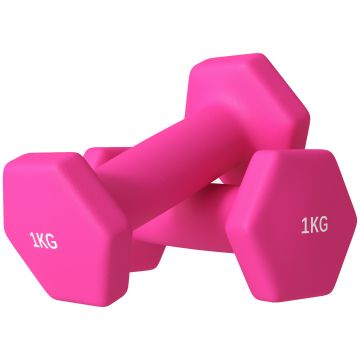 SPORTNOW Set de 2 Greutăți, Set de Gantere cu Prindere Antiderapantă pentru Antrenament, 1 kg, 13x5x5 cm, Roz | Aosom Romania