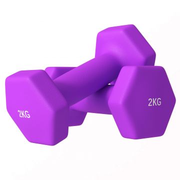 SPORTNOW Set de 2 Greutăți, Set de Gantere Pereche cu Prindere Antiderapantă pentru Antrenament, 16x6x6 cm, Violet | Aosom Romania