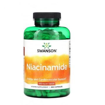 Swanson Niacinamide 500 mg 250 caps